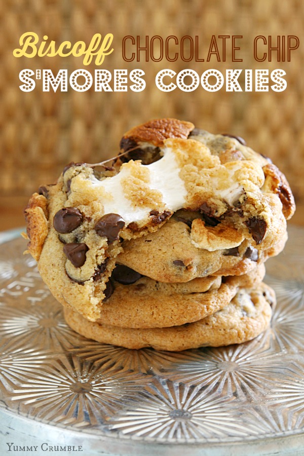 Biscoff Chocolate Chip Smores Cookies
